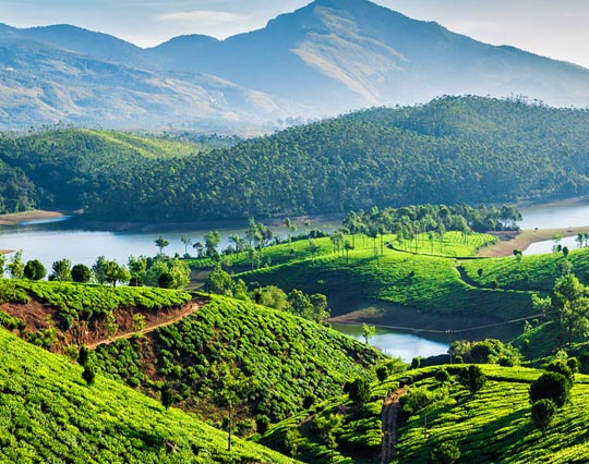 North India Tour with Kerala