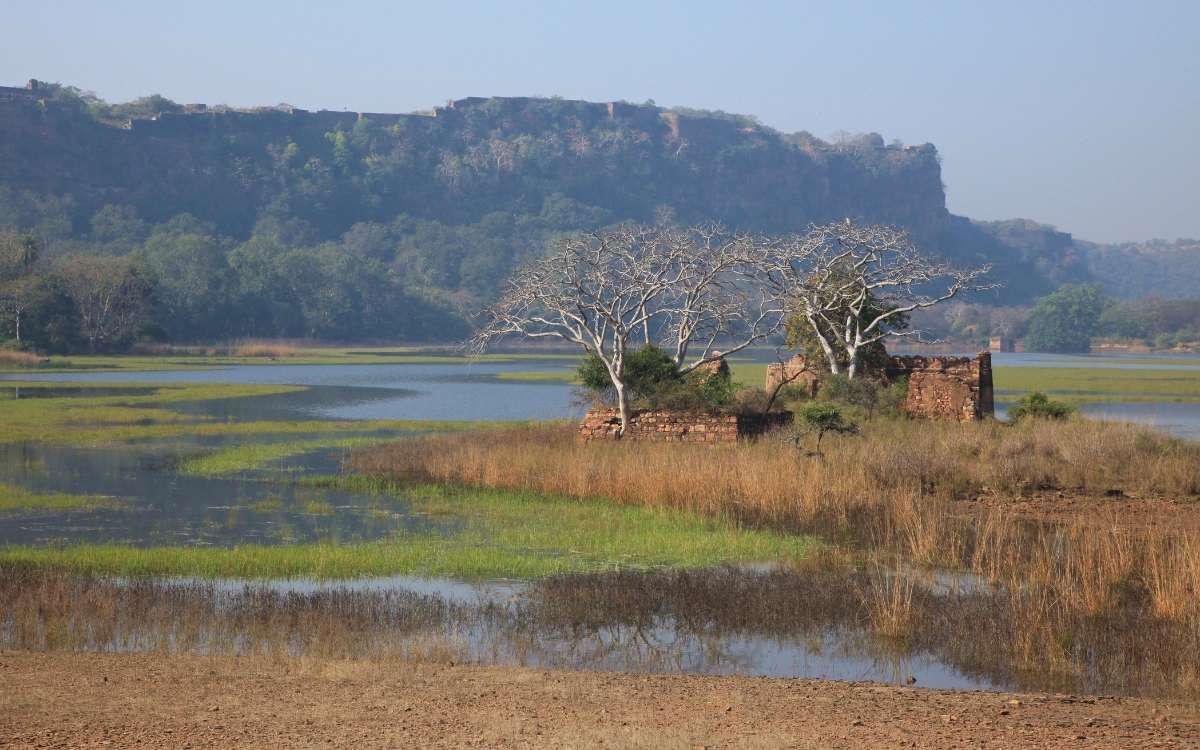 luxury wild life tour safari