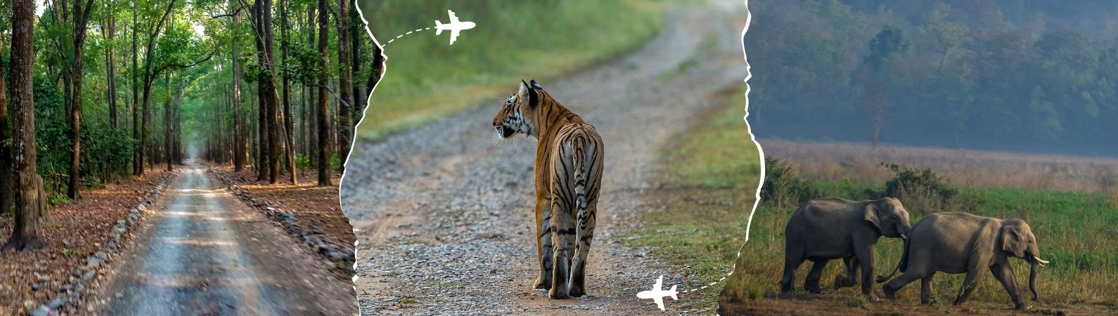 Jim Corbett Tour