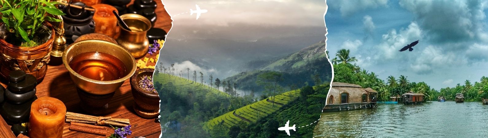 kerala ayurvedic tour