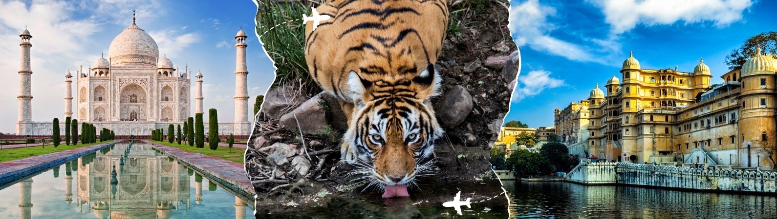 luxury cultural tour with wildlife