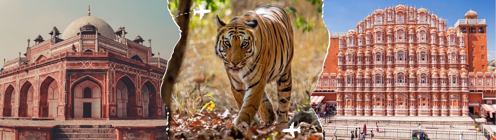 Luxury Golden Triangle Tour With Wildlife