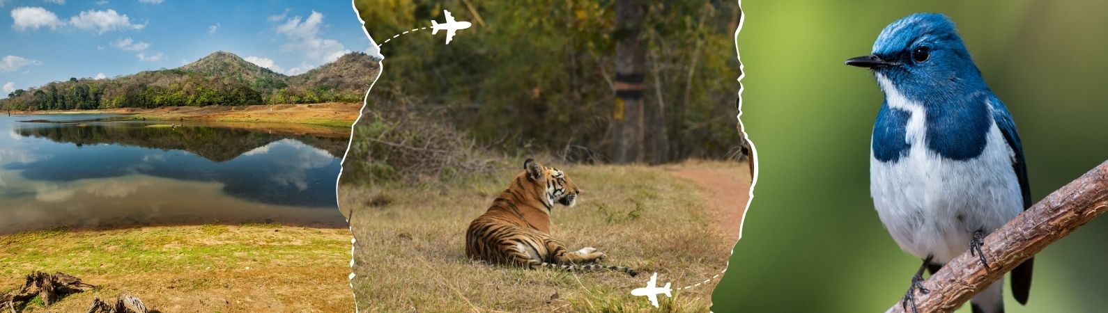 North India Wildlife Tour